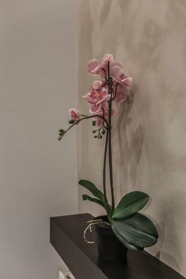 Stylish Apartment Near Duomo Milan Italy